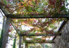 Fondvagg-o-pergola-2